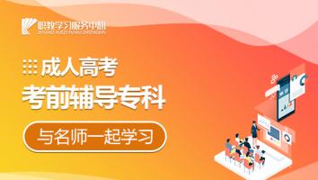 成人高考考前辅导专科